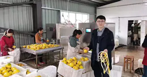 2臺常山胡柚削皮機賣到浙江某公司 柚子削皮,價值倍增